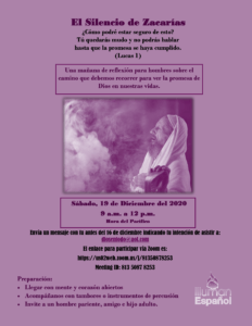 Volante del Evento Dic 2020